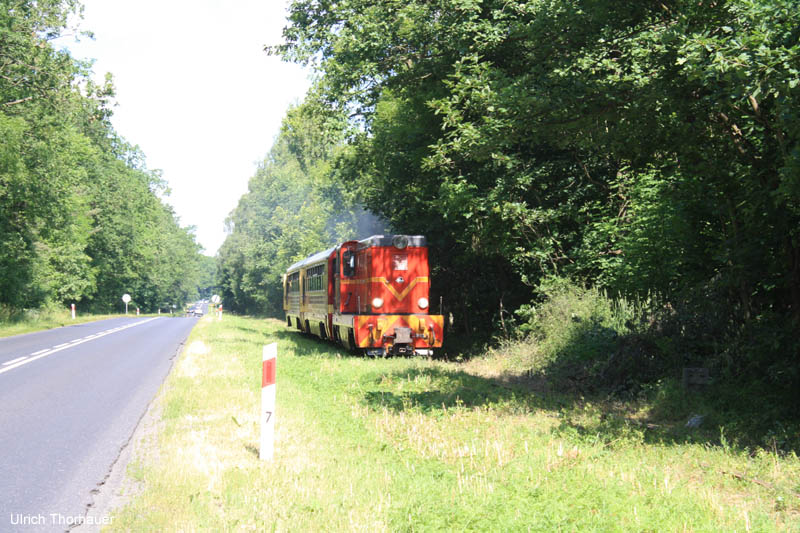 20100704_Gniezno_0033