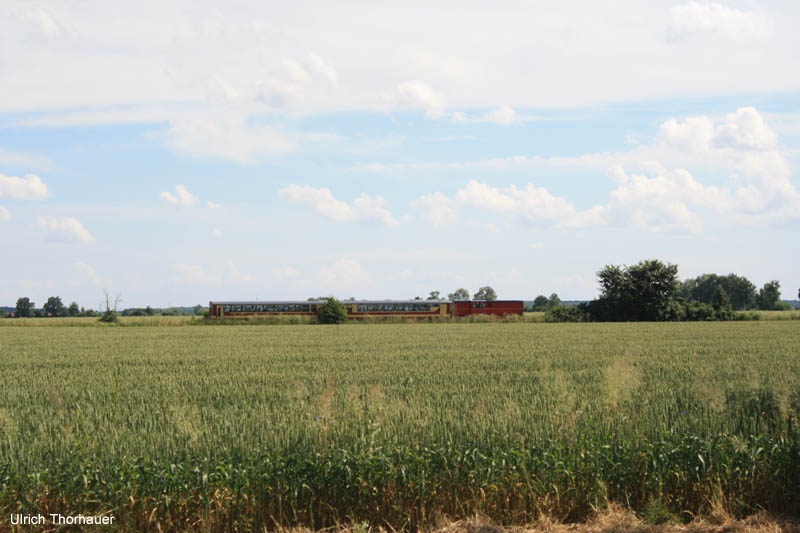 20100704_Gniezno_0044