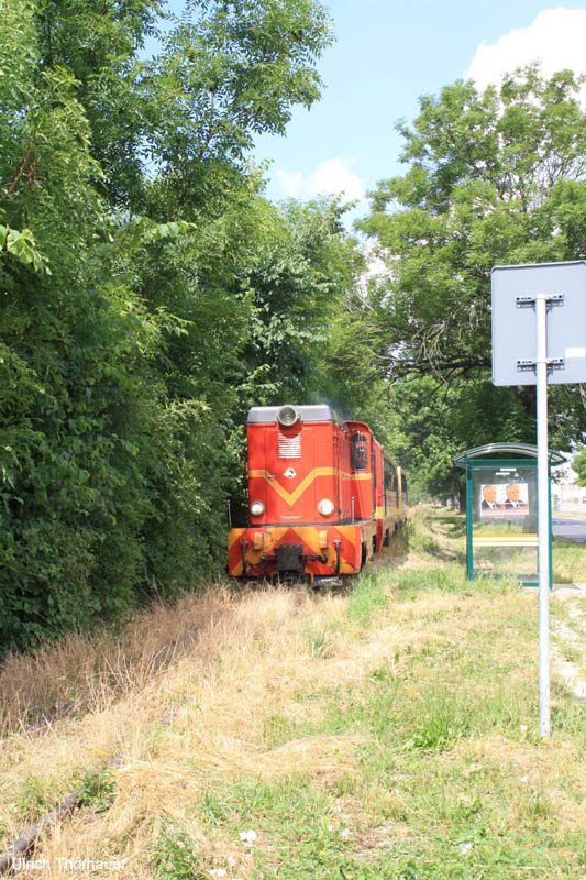 20100704_Gniezno_0086