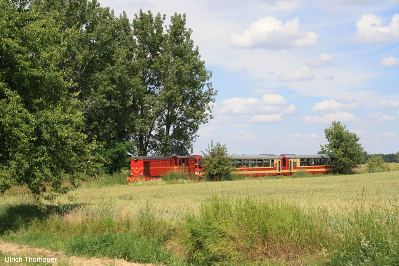 20100704_Gniezno_0146