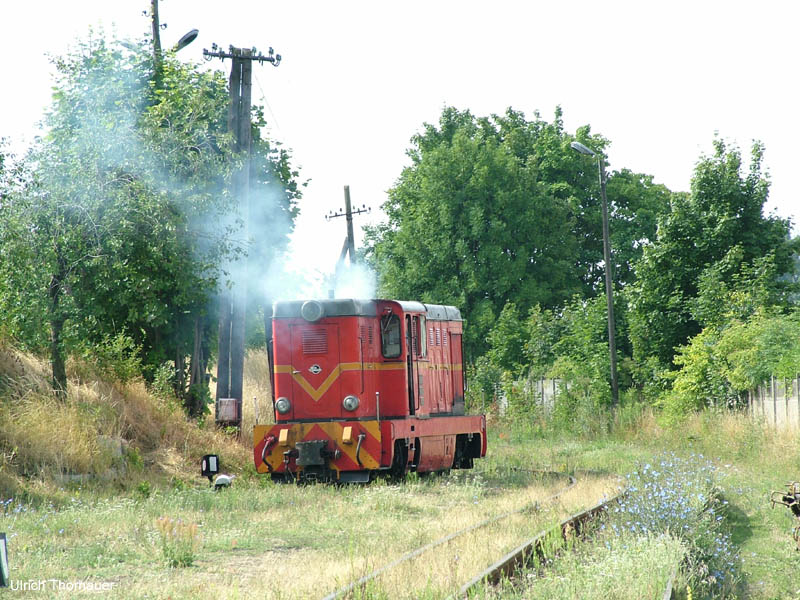 gniezno2008_0719_095219